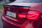 Guillaume Buch review photo