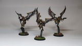 Aron M. review photo