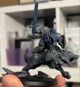 Will S review photo