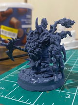 Xavier review photo
