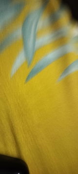 Shantanuvyas review photo