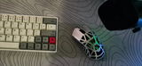 Xylo review photo