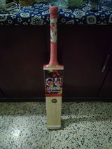 Raheel Shah review photo