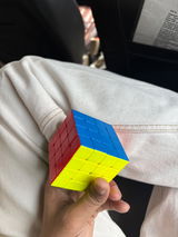 Sattu review photo