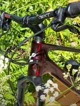 Alwin van Gent review photo