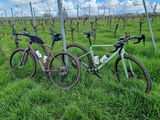 Piet Bosscher review photo