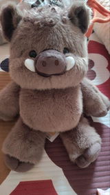 Brenda review photo