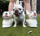 Mallow Frenchie review photo