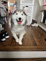 Kimmy A review photo