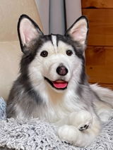 Coda's Mom review photo