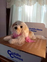 Debra F. review photo