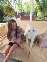 Anonymous review photo