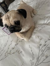 Gabby review photo