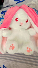 t.s. review photo