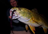 Sawyer Martin review photo