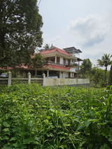 Dharmaraj Thaliyath review photo