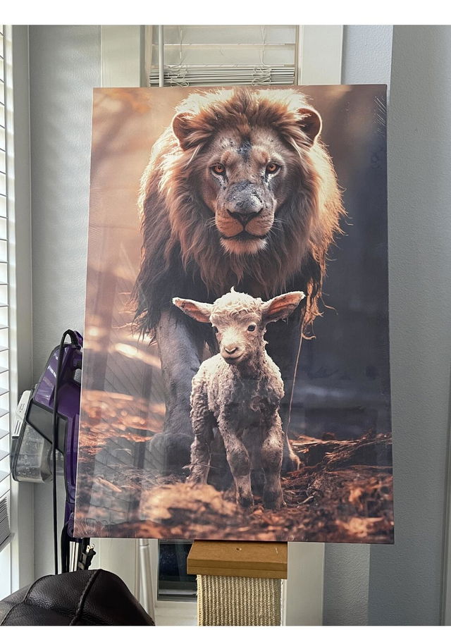Photo shared by Robert B.
