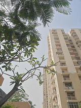 Vidhi Arora review photo