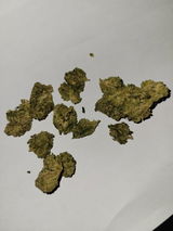 Coyce review photo