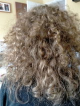 Ilene H. review photo