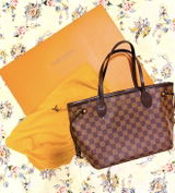 Preloved Authentic Louis Vuitton Neverfull PM — Damier Ebène Canvas