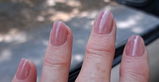 Equine Trainer review photo