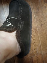MDominic review photo