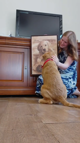 Sepia Painting of Pet