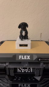 Etsy customer review photo