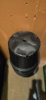 Coe Wilburn review photo