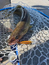 Ron Leggitt with Reel Legit Customs. review photo
