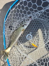 Ron Leggitt with Reel Legit Customs. review photo