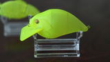Florian T review photo