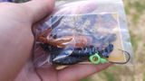 jacob peterson review photo