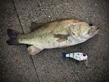 StrykFishOn review photo