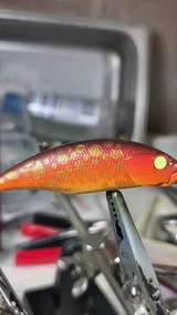 Zeb Jerman review photo
