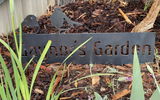 Gaynor F. review photo