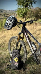 Decal, Scott, Frame