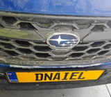 DNAiel review photo