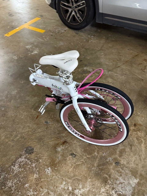 Fnhon Blast 22” • Shimano 9s • Snow White & Pink
