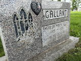 Susan Gallant review photo