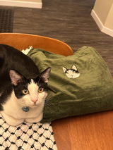Custom Embroidered Pet Portrait Canvas Tote Bag
