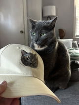 Custom Pet Embroidered Patch Hat
