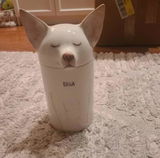 Madison review photo