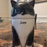 Hayden review photo
