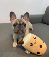 PugPuppy M. review photo