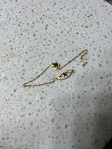 David Warner review photo