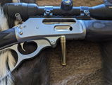 Chad S review photo