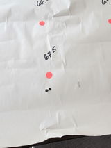 Lee review photo