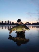 Rob Wolsink review photo